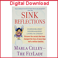 Sink Reflections Audiobook (Digital Download)