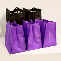 FlyLady's Grocery Bag Set