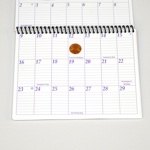 FlyLady Mini Calendar